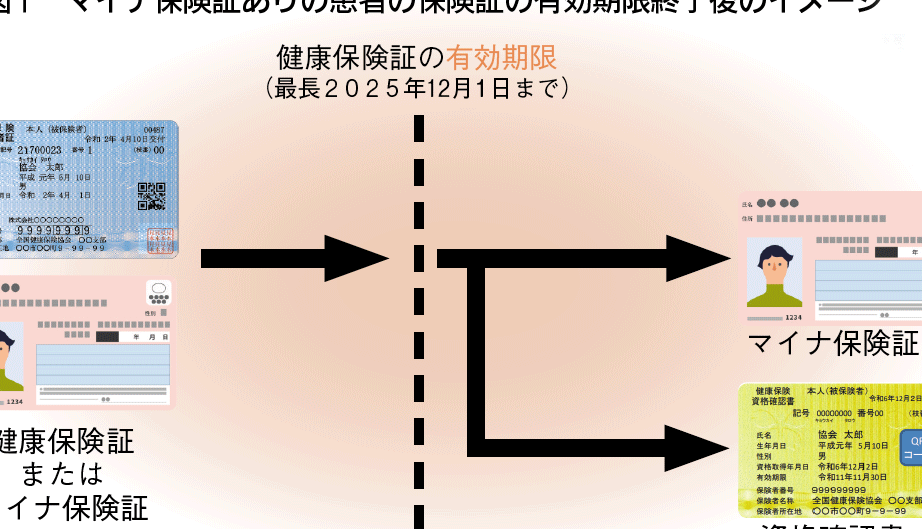 健康保険証はいつまで使える？有効期限と注意点
