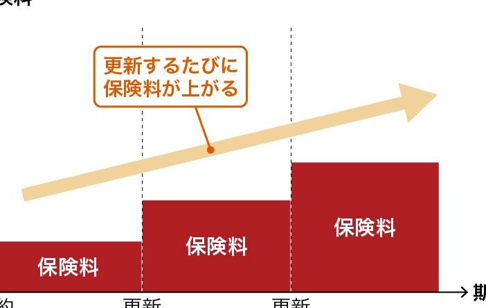 定期保険とは わかりやすく解説する基本情報