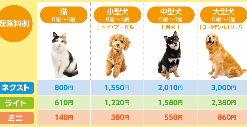 e78cabe381aee4bf9de999ba-e38184e3818fe38289e3818be3818be3828befbc9fe8b2bbe794a8e38284e383a1e383aae38383e38388e38292e8a7a3e8aaac 猫の保険 いくらかかる?費用やメリットを解説