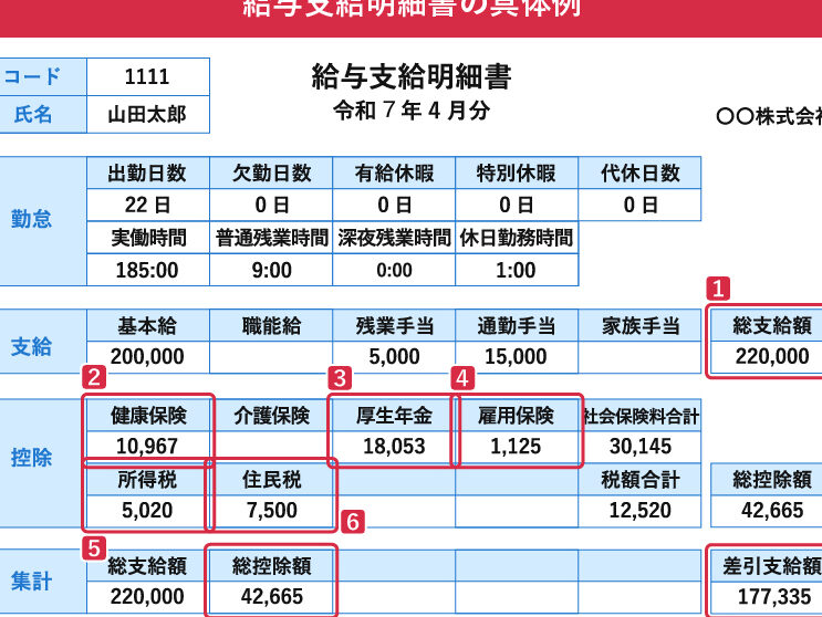 社会保険料はいつから引かれるのか解説します