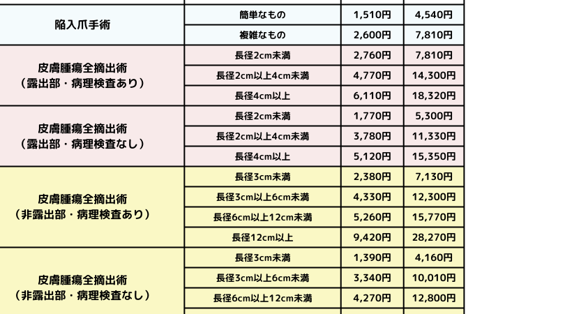稗粒腫除去の保険適用と費用はいくらか解説