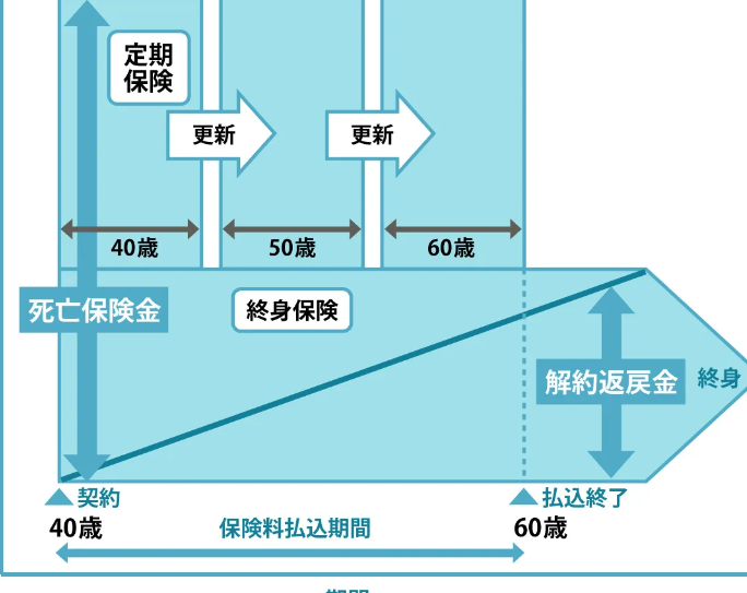 終身保険とは わかりやすく解説するポイント一覧